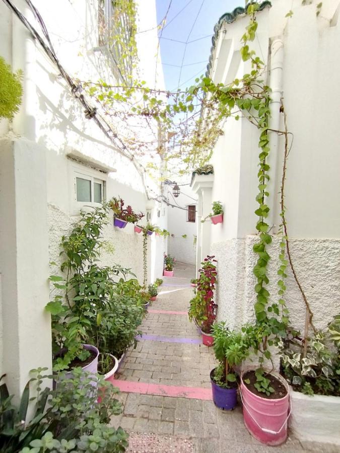 Maison Medina, Terrasse Panoramique, Vue Mer Танжер Экстерьер фото