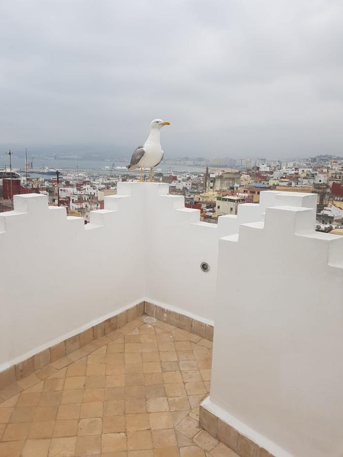 Maison Medina, Terrasse Panoramique, Vue Mer Танжер Экстерьер фото